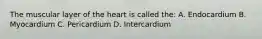 The muscular layer of the heart is called the: A. Endocardium B. Myocardium C. Pericardium D. Intercardium