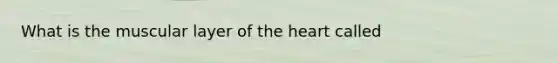 What is the muscular layer of <a href='https://www.questionai.com/knowledge/kya8ocqc6o-the-heart' class='anchor-knowledge'>the heart</a> called