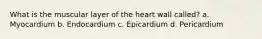 What is the muscular layer of the heart wall called? a. Myocardium b. Endocardium c. Epicardium d. Pericardium