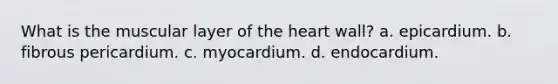 What is the muscular layer of <a href='https://www.questionai.com/knowledge/kya8ocqc6o-the-heart' class='anchor-knowledge'>the heart</a> wall? a. epicardium. b. fibrous pericardium. c. myocardium. d. endocardium.