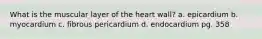 What is the muscular layer of the heart wall? a. epicardium b. myocardium c. fibrous pericardium d. endocardium pg. 358