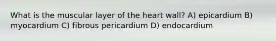 What is the muscular layer of the heart wall? A) epicardium B) myocardium C) fibrous pericardium D) endocardium