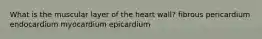 What is the muscular layer of the heart wall? fibrous pericardium endocardium myocardium epicardium