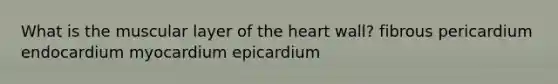 What is the muscular layer of the heart wall? fibrous pericardium endocardium myocardium epicardium