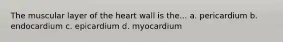 The muscular layer of the heart wall is the... a. pericardium b. endocardium c. epicardium d. myocardium