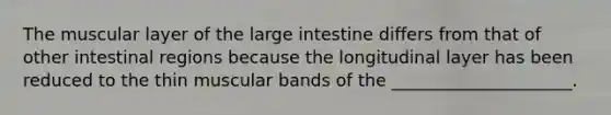 The muscular layer of the large intestine differs from that of other intestinal regions because the longitudinal layer has been reduced to the thin muscular bands of the _____________________.