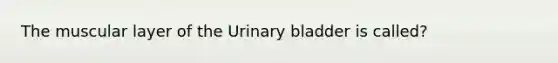 The muscular layer of the Urinary bladder is called?