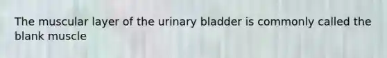 The muscular layer of the <a href='https://www.questionai.com/knowledge/kb9SdfFdD9-urinary-bladder' class='anchor-knowledge'>urinary bladder</a> is commonly called the blank muscle