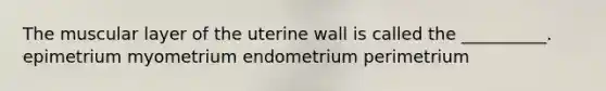 The muscular layer of the uterine wall is called the __________. epimetrium myometrium endometrium perimetrium