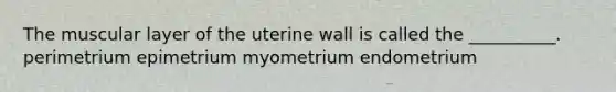 The muscular layer of the uterine wall is called the __________. perimetrium epimetrium myometrium endometrium