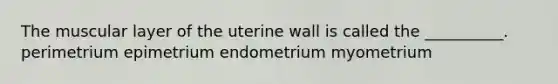 The muscular layer of the uterine wall is called the __________. perimetrium epimetrium endometrium myometrium