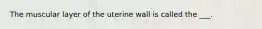 The muscular layer of the uterine wall is called the ___.