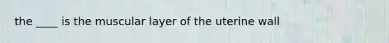 the ____ is the muscular layer of the uterine wall