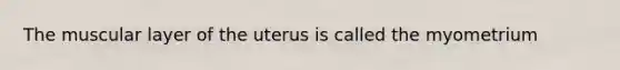 The muscular layer of the uterus is called the myometrium