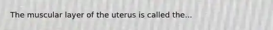 The muscular layer of the uterus is called the...