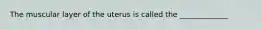 The muscular layer of the uterus is called the _____________