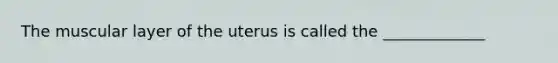 The muscular layer of the uterus is called the _____________