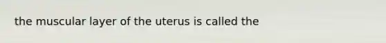 the muscular layer of the uterus is called the