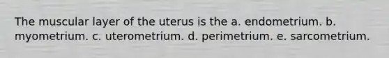 The muscular layer of the uterus is the a. endometrium. b. myometrium. c. uterometrium. d. perimetrium. e. sarcometrium.