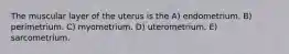 The muscular layer of the uterus is the A) endometrium. B) perimetrium. C) myometrium. D) uterometrium. E) sarcometrium.