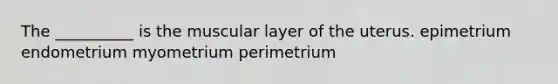 The __________ is the muscular layer of the uterus. epimetrium endometrium myometrium perimetrium