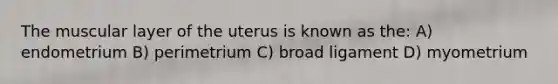 The muscular layer of the uterus is known as the: A) endometrium B) perimetrium C) broad ligament D) myometrium