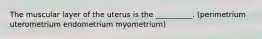 The muscular layer of the uterus is the __________. (perimetrium uterometrium endometrium myometrium)