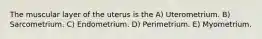 The muscular layer of the uterus is the A) Uterometrium. B) Sarcometrium. C) Endometrium. D) Perimetrium. E) Myometrium.