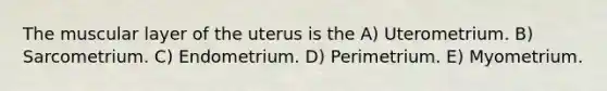 The muscular layer of the uterus is the A) Uterometrium. B) Sarcometrium. C) Endometrium. D) Perimetrium. E) Myometrium.