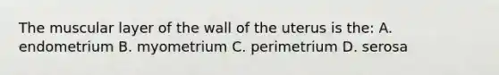 The muscular layer of the wall of the uterus is the: A. endometrium B. myometrium C. perimetrium D. serosa