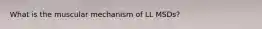 What is the muscular mechanism of LL MSDs?