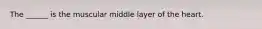 The ______ is the muscular middle layer of the heart.