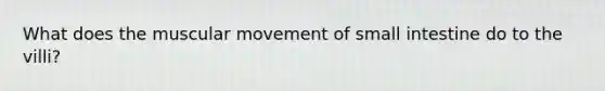 What does the muscular movement of small intestine do to the villi?