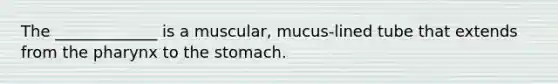 The _____________ is a muscular, mucus-lined tube that extends from the pharynx to the stomach.