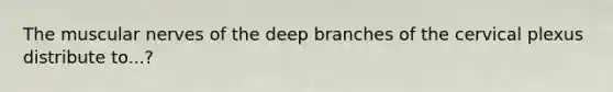 The muscular nerves of the deep branches of the cervical plexus distribute to...?