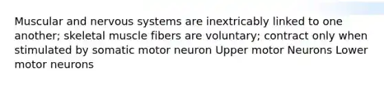 Muscular and nervous systems are inextricably linked to one another; skeletal muscle fibers are voluntary; contract only when stimulated by somatic motor neuron Upper motor Neurons Lower motor neurons