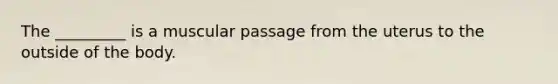 The _________ is a muscular passage from the uterus to the outside of the body.