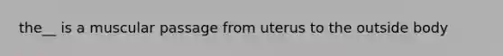 the__ is a muscular passage from uterus to the outside body