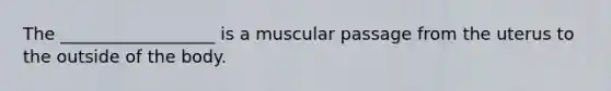 The __________________ is a muscular passage from the uterus to the outside of the body.