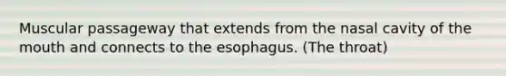 Muscular passageway that extends from the nasal cavity of <a href='https://www.questionai.com/knowledge/krBoWYDU6j-the-mouth' class='anchor-knowledge'>the mouth</a> and connects to <a href='https://www.questionai.com/knowledge/kSjVhaa9qF-the-esophagus' class='anchor-knowledge'>the esophagus</a>. (The throat)