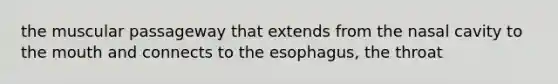 the muscular passageway that extends from the nasal cavity to the mouth and connects to the esophagus, the throat