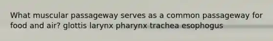 What muscular passageway serves as a common passageway for food and air? glottis larynx pharynx trachea esophogus
