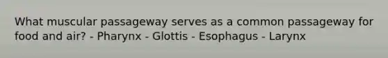 What muscular passageway serves as a common passageway for food and air? - Pharynx - Glottis - Esophagus - Larynx