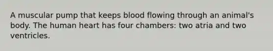 A muscular pump that keeps blood flowing through an animal's body. The human heart has four chambers: two atria and two ventricles.