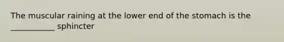 The muscular raining at the lower end of the stomach is the ___________ sphincter