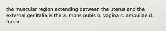the muscular region extending between the uterus and the external genitalia is the a. mons pubis b. vagina c. ampullae d. fornix