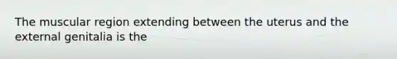 The muscular region extending between the uterus and the external genitalia is the