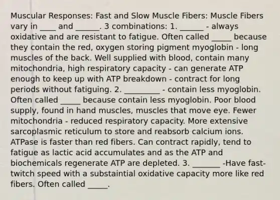 Muscular Responses: Fast and Slow Muscle Fibers: Muscle Fibers vary in ____ and ______. 3 combinations: 1. ______ - always oxidative and are resistant to fatigue. Often called _____ because they contain the red, oxygen storing pigment myoglobin - long muscles of the back. Well supplied with blood, contain many mitochondria, high respiratory capacity - can generate ATP enough to keep up with ATP breakdown - contract for long periods without fatiguing. 2. _________ - contain less myoglobin. Often called _____ because contain less myoglobin. Poor blood supply, found in hand muscles, muscles that move eye. Fewer mitochondria - reduced respiratory capacity. More extensive sarcoplasmic reticulum to store and reabsorb calcium ions. ATPase is faster than red fibers. Can contract rapidly, tend to fatigue as lactic acid accumulates and as the ATP and biochemicals regenerate ATP are depleted. 3. _______ -Have fast-twitch speed with a substaintial oxidative capacity more like red fibers. Often called _____.