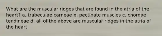 What are the muscular ridges that are found in the atria of the heart? a. trabeculae carneae b. pectinate muscles c. chordae tendineae d. all of the above are muscular ridges in the atria of the heart