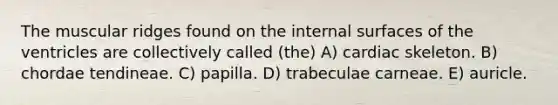 The muscular ridges found on the internal surfaces of the ventricles are collectively called (the) A) cardiac skeleton. B) chordae tendineae. C) papilla. D) trabeculae carneae. E) auricle.
